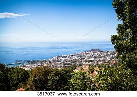 Madeira Island, Funchal View Large Photo Image Stock Photo - Madeira Island, Funchal. Fotosearch