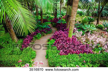 Madeira Island, Monte Palace Tropical Gardens View Large Photo Image Stock Image - Madeira Island, Monte Palace Tropical Gardens. Fotosearch