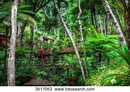 Madeira Island, Monte Palace Tropical Gardens View Large Photo Image Stock Image - Madeira Island, Monte Palace Tropical Gardens. Fotosearch