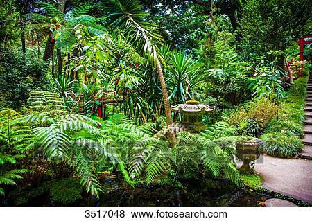 Madeira Island, Monte Palace, tropical Gardens View Large Photo Image Stock Photo - Madeira Island, Monte Palace, tropical Gardens. Fotosearch