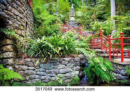 Madeira Island, Monte Palace, tropical Gardens View Large Photo Image Stock Photo - Madeira Island, Monte Palace, tropical Gardens. Fotosearch