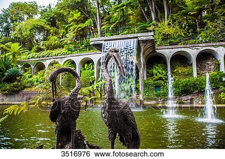 Madeira Island, Monte Palace Tropical Gardens, statue of two herons View Large Photo Image Stock Photograph - Madeira Island, Monte Palace Tropical Gardens, statue of two herons. Fotosearch