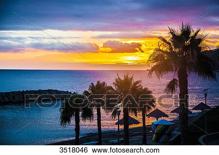 Madeira Island, sunset on the coast View Large Photo Image Stock Photograph - Madeira Island, sunset on the coast. Fotosearch
