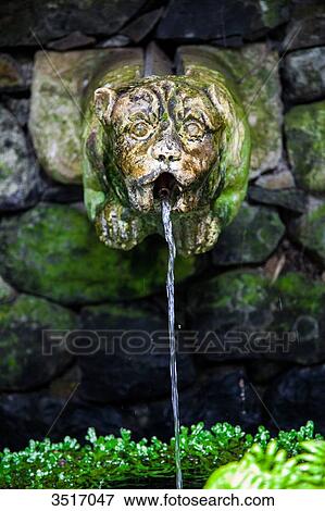 Madeira, Monte Palace Tropical Gardens, statue a gargoyle fountain View Large Photo Image Stock Photo - Madeira, Monte Palace Tropical Gardens, statue a gargoyle fountain. Fotosearch