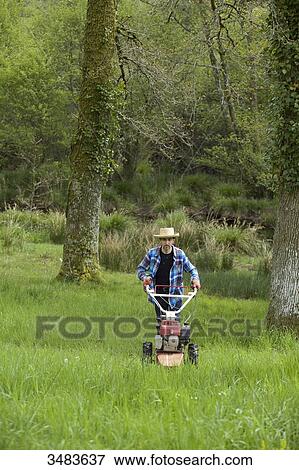 Man mowing the grass View Large Photo Image Stock Photo - Man mowing the grass. Fotosearch