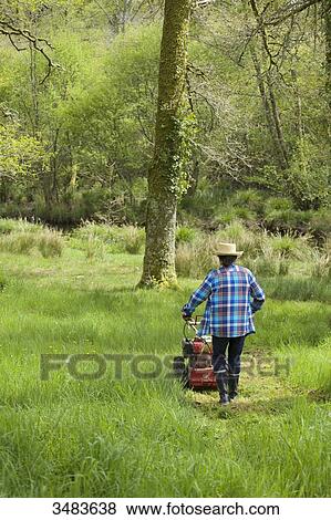 Man mowing the grass View Large Photo Image Stock Photo - Man mowing the grass. Fotosearch