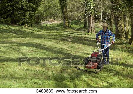 Man mowing the grass View Large Photo Image Stock Photo - Man mowing the grass. Fotosearch