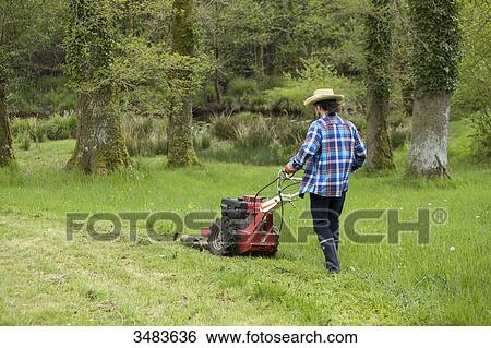 Stock Photograph - Man mowing the grass. Fotosearch