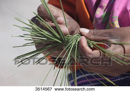 Mexico, Chihuahua State, Sierra Tarahumara, Creel, Tarahumara woman braiding a basketry View Large Photo Image Stock Photo - Mexico, Chihuahua State, Sierra Tarahumara, Creel, Tarahumara woman braiding a basketry. Fotosearch