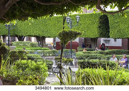 Stock Image - Mexico, State of Guanajuato, San Miguel de Allende, garden in front of San Francisco church. Fotosearch