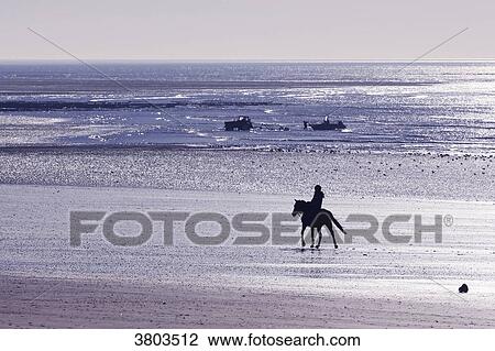 Stock Image - Normandy. Manche. Annoville sur Mer. Young woman riding on the beach at high tide during the Christmas period.. Fotosearch