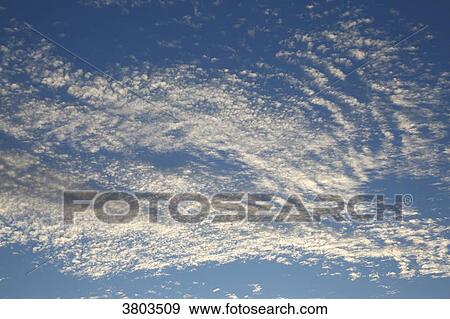 Stock Photo - Normandy. Manche. Annoville sur Mer. Clouds altocumulus floccus at sunset.. Fotosearch