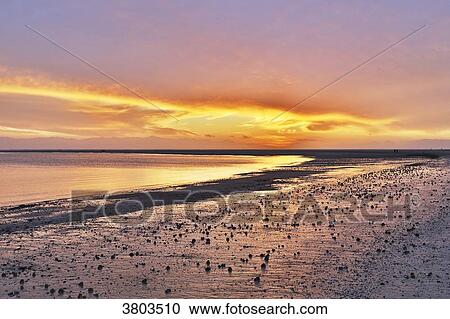 Normandy. Manche. Havre of the Vanlee. Spectacular sunset over the harbor at high tide. View Large Photo Image Stock Image - Normandy. Manche. Havre of the Vanlee. Spectacular sunset over the harbor at high tide.. Fotosearch