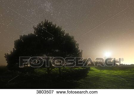 Normandy. Manche. Pointe d'Agon Coutainville. The semaphore at night, under the stars. View Large Photo Image Stock Photo - Normandy. Manche. Pointe d'Agon Coutainville. The semaphore at night, under the stars.. Fotosearch