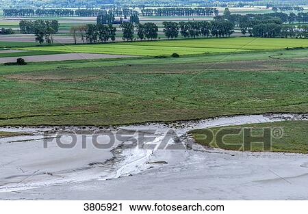 Normandy, view on a salt meadow at the rim of the bay (UNESCO World Heritage) (on the way to Santiago de Compostela) View Large Photo Image Stock Image - Normandy, view on a salt meadow at the rim of the bay (UNESCO World Heritage) (on the way to Santiago de Compostela). Fotosearch
