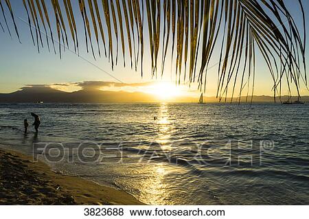 People on the beach at the sunset, Gosier island, Guadeloupe, France View Large Photo Image Stock Photo - People on the beach at the sunset, Gosier island, Guadeloupe, France. Fotosearch