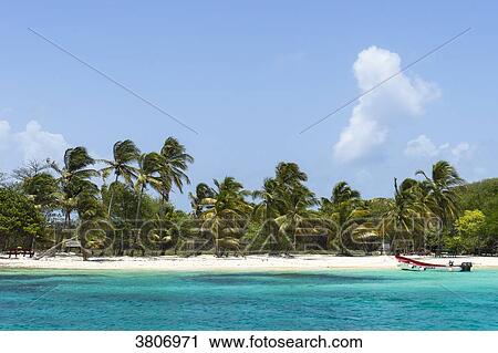 Petit Bateau's island, Reserve, Tobago Cays, Saint-Vincent and the Grenadines, West Indies View Large Photo Image Stock Image - Petit Bateau's island, Reserve, Tobago Cays, Saint-Vincent and the Grenadines, West Indies. Fotosearch