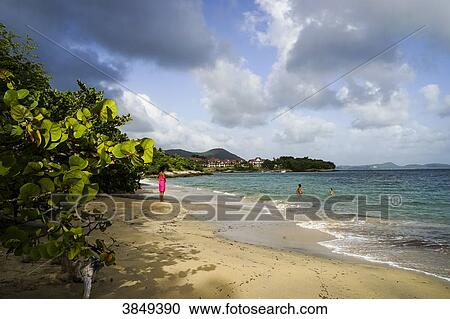 Petit cafe's beach, Sainte-Luce, Martinique, France View Large Photo Image Stock Image - Petit cafe's beach, Sainte-Luce, Martinique, France. Fotosearch