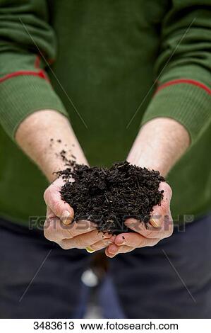 Plant food in man's hands View Large Photo Image Stock Image - Plant food in man's hands. Fotosearch