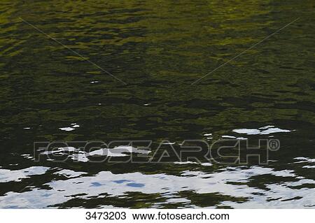 Stock Image - Reflections on the surface of a lake.. Fotosearch
