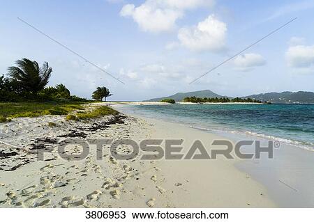 Stock Image - Reserve, Sandy Island, Carriacou, West Indies. Fotosearch