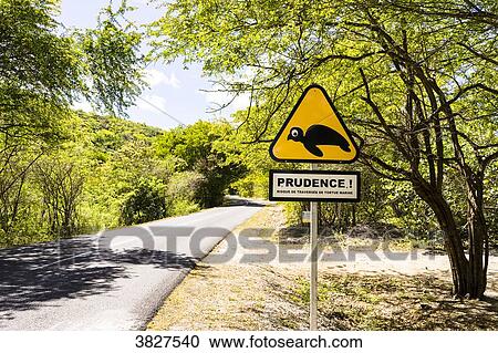 Stock Image - Road sign about the presence of turtles, Saint-Louis, Marie-Galante, Guadeloupe, France. Fotosearch