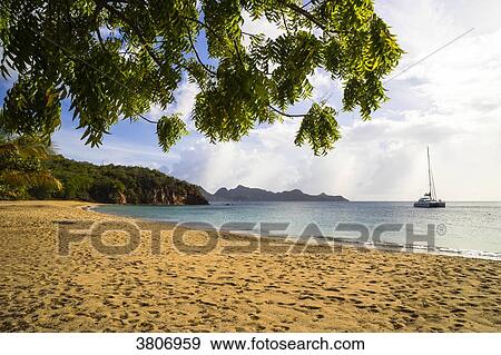 Sailing boat at the mooring, Saline Bay's beach, Mayreau, Saint-Vincent and the Grenadines, West Indies View Large Photo Image Stock Photo - Sailing boat at the mooring, Saline Bay's beach, Mayreau, Saint-Vincent and the Grenadines, West Indies. Fotosearch