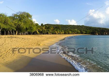Saline Bay's beach, Mayreau, Saint-Vincent and the Grenadines, West Indies View Large Photo Image Stock Photo - Saline Bay's beach, Mayreau, Saint-Vincent and the Grenadines, West Indies. Fotosearch