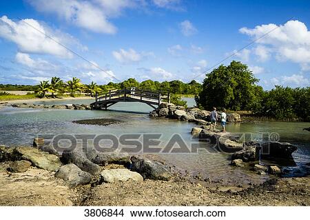 Savane des Petrifications, Martinique, France View Large Photo Image Picture - Savane des Petrifications, Martinique, France. Fotosearch