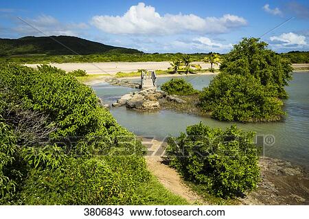 Stock Image - Savane des Petrifications, Martinique, France. Fotosearch