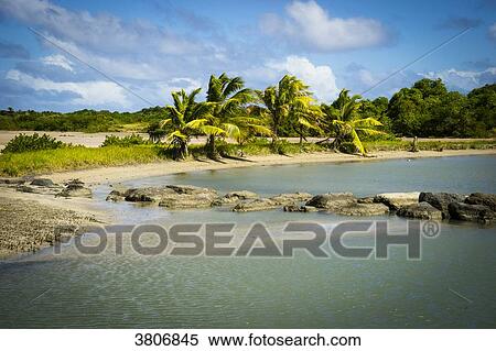 Savane des Petrifications, Martinique, France View Large Photo Image Stock Photography - Savane des Petrifications, Martinique, France. Fotosearch