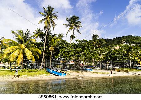 Seaside, Port Elizabeth, Bequia, Saint-Vincent and the Grenadines, West Indies View Large Photo Image Picture - Seaside, Port Elizabeth, Bequia, Saint-Vincent and the Grenadines, West Indies. Fotosearch