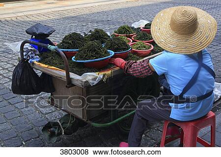South Korea, Busan. Algae View Large Photo Image Stock Photo - South Korea, Busan. Algae. Fotosearch