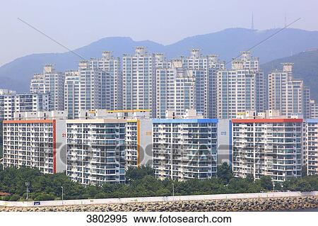 Stock Photography - South Korea, Busan. buildings. Fotosearch