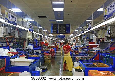 South Korea, Busan. Fish Market. Jagalchi Market View Large Photo Image Stock Image - South Korea, Busan. Fish Market. Jagalchi Market. Fotosearch