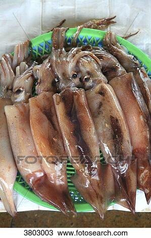 South Korea, Busan. Fish Market. Jagalchi Market View Large Photo Image Stock Image - South Korea, Busan. Fish Market. Jagalchi Market. Fotosearch