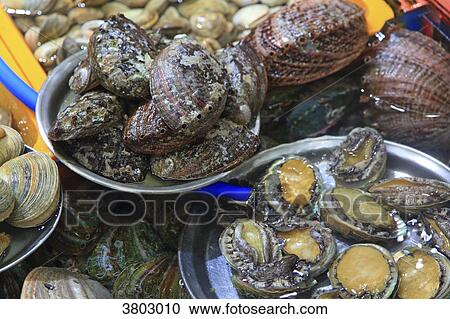 South Korea, Busan. Fish Market. Jagalchi Market View Large Photo Image Stock Image - South Korea, Busan. Fish Market. Jagalchi Market. Fotosearch