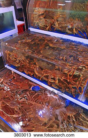 South Korea, Busan. Fish Market. Jagalchi Market View Large Photo Image Stock Image - South Korea, Busan. Fish Market. Jagalchi Market. Fotosearch