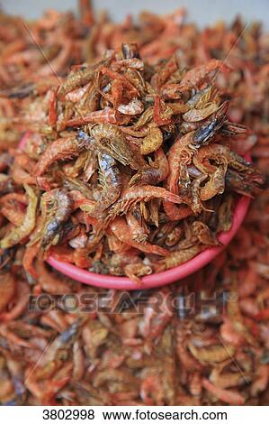 Stock Photo - South Korea, Busan. Fish Market. Jagalchi Market. Fotosearch