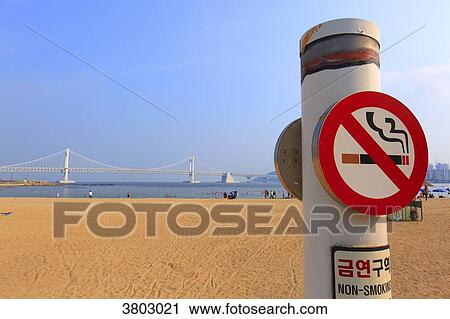 South Korea, Busan. Gwangalli Beach. No smoking View Large Photo Image Stock Image - South Korea, Busan. Gwangalli Beach. No smoking. Fotosearch