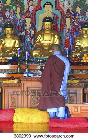 South Korea, Busan. Haedong Yonggungsa temple View Large Photo Image Stock Image - South Korea, Busan. Haedong Yonggungsa temple. Fotosearch