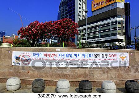 South Korea, Busan. Haeundae Beach View Large Photo Image Stock Photo - South Korea, Busan. Haeundae Beach. Fotosearch