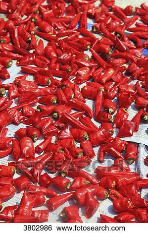 Stock Photograph - South Korea, Busan. Red hot pepper. Fotosearch