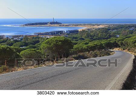 Stock Image - Spain, Andalousia, Los Canos de Meca. Trafalgar Lighthouse. Fotosearch