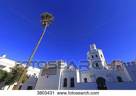 Stock Image - Spain, Andalousia, Tarifa. Library. Fotosearch