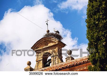 Stork's nest on a church in Salamanca, Spain View Large Photo Image Stock Photograph - Stork's nest on a church in Salamanca, Spain. Fotosearch