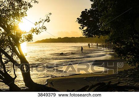 Sunset on the Saline's beach, Martinique, France View Large Photo Image Stock Photo - Sunset on the Saline's beach, Martinique, France. Fotosearch