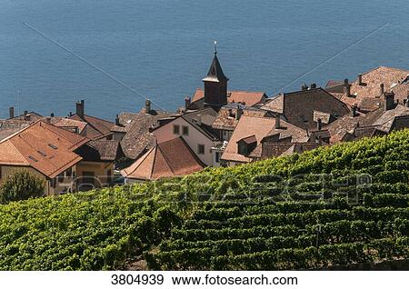 Switzerland, Canton of Vaud, region of Leman, village of Chexbres in the vineyards of Lavaux classified Unesco World Heritage View Large Photo Image Stock Photo - Switzerland, Canton of Vaud, region of Leman, village of Chexbres in the vineyards of Lavaux classified Unesco World Heritage. Fotosearch