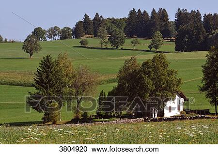 Stock Image - Switzerland, Jura canton, Franches-Montagnes, typical landscape around village of Cret-Brule. Fotosearch