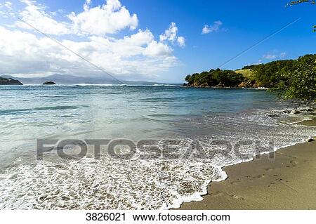 Tartane's beach, Caravelle's peninsula, Martinique, France View Large Photo Image Stock Image - Tartane's beach, Caravelle's peninsula, Martinique, France. Fotosearch